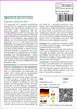 SAFLAX - Stielgemüse - Spanische Artischocke - 50 Samen - Produktbild-Vorschau 3