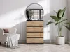 A modern living room scene featuring a chest of drawers, a chair, a mirror, and a plant. Voir les images du produit