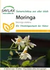 Artikelbild 1 von 'Moringa (Meerrettichbaum)' aus der Kategorie Exotische Samen Podgląd zdjęcia produktu