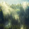 Unser Wald / Forest Nature 2027 Produktbild-Vorschau 3