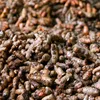Kurkuma (Gelbwurz), gemahlen, BIO, 250g Produktbild-Vorschau 7