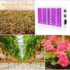 Collage showing a grow light and plants in various stages of growth and types. Náhľad obrázku produktu