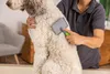 Moser Animal Large Slicker Brush - brosse carde grande Voir les images du produit 5
