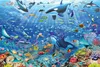 Puzzle 3000T Bunter Unterwasserspaß Produktbild-Vorschau 6