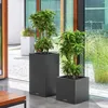 Fioriera LECHUZA CANTO Stone 40 High Nero grafite | Anteprima dell’immagine prodotto 32