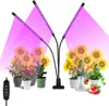 Clanmacy 30W rostoucí lampa LED lampa pro rostliny s plným Náhled obrázku produktu 8
