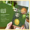 Meine Orangerie Zitronenbaum Mezzo - echte Zitrone - Produktbild-Vorschau 6
