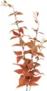 Clayre & Eef Decoratievaas Ast 78 cm Oranje, kunststof Productafbeelding-voorbeeld 1