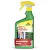 Neudorff Finalsan AF Wege- & FugenRein 1L Spray gegen Algen Produktbild-Vorschau 1