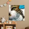 MuchoWow® Poster Katze - Pfote - Kopf 50x50 cm - Produktbild-Vorschau 6