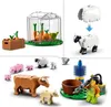 Farma LEGO City ze zwierzętami Podgląd zdjęcia produktu 11