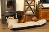 Beeztees Memory Foam Liegekissen Zia beige, Maße: 75 x 50 x Produktbild-Vorschau 5
