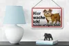 Blechschild Hinweis 18x12cm Hier wache ich Hunde Produktbild-Vorschau 4