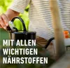 COMPO  Mediterraner Pflanzendünger - Flüssigdünger - Produktbild-Vorschau 5