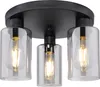 A close-up studio shot of a black ceiling light with three glass shades. Anteprima dell’immagine prodotto