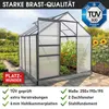 BRAST Gewächshaus Aluminium mit Fundament | 250x190x195cm | Produktbild-Vorschau 8