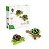 ALEXANDER Origami 3D Tartarughe 23466 Anteprima dell’immagine prodotto 5