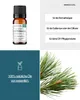 Kiefernadel (10ml) - naturreines, ätherisches Öl von Produktbild-Vorschau 2