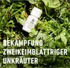 COMPO Rasenunkrautvernichter Banvel Quattro - 75 ml Produktbild-Vorschau 3