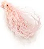 Federgras Getrocknete - (Stipa pennata) - Rosa Produktbild-Vorschau 1