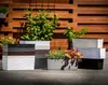 KADAX Blumentopf mit Einsatz "Treviso", 56 cm, Mit Produktbild-Vorschau 6