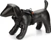Karlie Art Sportiv Premium Y-Geschirr - Hundegeschirre - Produktbild-Vorschau 1