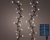 Lumineo Solar Compact Twinkle fairy lights 1.100 cm 500 Anteprima dell’immagine prodotto 2
