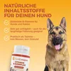 CaniComplete Vitamin-B-Komplex für Hunde – Produktbild 4 Anteprima dell’immagine prodotto