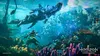 Horizon Forbidden West PS4-Spiel Produktbild-Vorschau 9