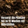 Samenshop24 Tomatenerde 20 l – Nährstoffreiche Gemüseerde Produktbild-Vorschau 4