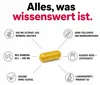 Berberin Kapseln Hochdosiert 500mg – Berberine HCl 98% aus Produktbild-Vorschau 7