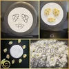 MY PASTA - Biene / Motivnudeln / Einlage Suppe / Kinder - Produktbild-Vorschau 3