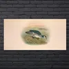 Coloray Bild aus Glas 140x70 glasblock mit bild gehärtetes Produktbild-Vorschau 2