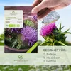 Mariendistel Samen - Heilkräuter Saatgut aus biologischem Produktbild-Vorschau 2