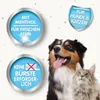 Beaphar Oral & Co. Cura dentale per cani e gatti 250 ml Anteprima dell’immagine prodotto 5