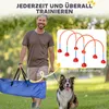 PawHut, set di agility per cani, 4 pezzi, attrezzatura per Anteprima dell’immagine prodotto 5
