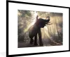 MuchoWow® MuchoWow® Gerahmtes Poster Elefant mit Person in Produktbild-Vorschau 1