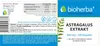 Bioherba Astragalus Extrakt 300 mg 100 Kapseln Produktbild-Vorschau 2