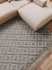 Interiyou Teppich Lecce Hellgrau D1 160x230 cm Produktbild-Vorschau 3