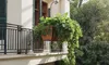 A balcony with a railing and a hanging planter filled with lush green plants. Produktbild-Vorschau