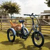 An electric tricycle is parked on a grassy area in front of a wooden fence and a ranch-style building. Podgląd zdjęcia produktu
