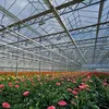LZQ 14ks UV odolný polykarbonátový hřebenový plech s dutým Náhled obrázku produktu 10
