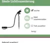 Paulmann Plug & Shine LED Gartenstrahler Plantini Produktbild-Vorschau 5