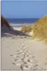 ARTland Leinwandbild Weg zum Strand II Größe: 20x30 cm Produktbild-Vorschau 1