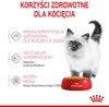 Royal Canin Sachets fraîcheur Kitten Instinctive en sauce Voir les images du produit 13