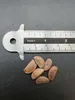Amerikaanse vijgenboom (Diospyros virginiana) - 5 zaden Productafbeelding-voorbeeld 3