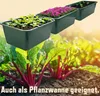 Auch als Pflanzwanne geeignet Produktbild-Vorschau
