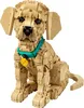 LEGO Icons 11384 Golden Retriever Welpe Anteprima dell’immagine prodotto 17