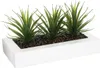 Atmosphera Créateur d'intérieur künstliche Aloe vera 3 Stk. Produktbild-Vorschau 3