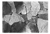 Basera Fototapete Steinmotiv f-A-0279-a-d, Vliestapete, Produktbild-Vorschau 2